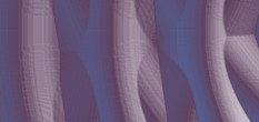 investment act